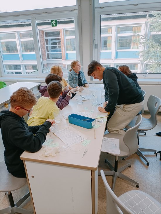 Fotografie von mehreren Kindern, die die Alaunkristalle an einen Nylonfanden befestigen. 