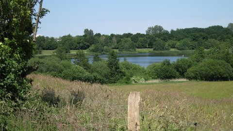 Blick über eine Wiese und Bäume direkt auf den Brautsee in Schleswig