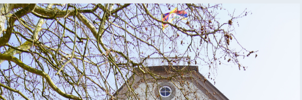 Die Flagge Tibets ist auf dem Dach des Rathauses. Im Vordergrund steht ein Baum.